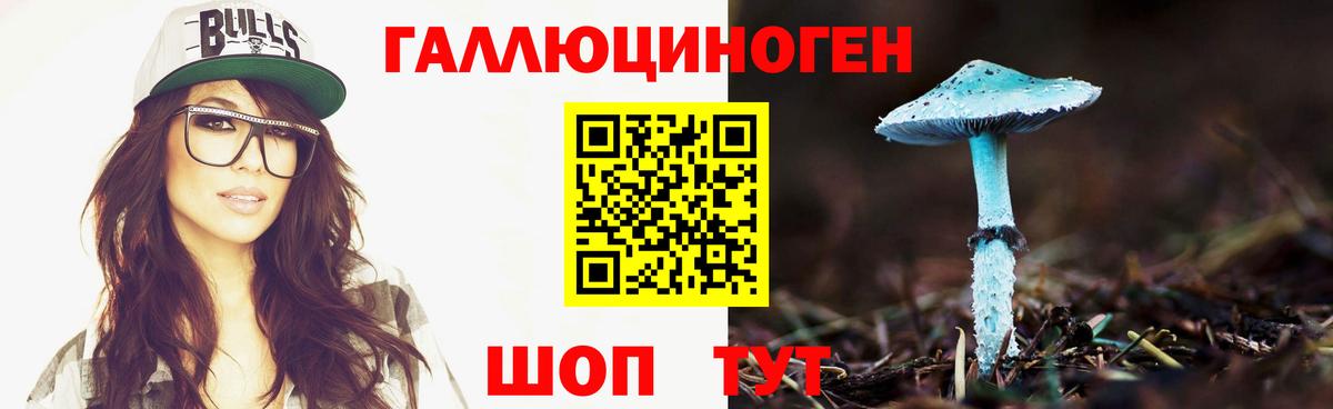 Галлюциногенные грибы MAGIC MUSHROOMS  купить закладку  Усть-Илимск  Вход с VPN  Псилоцибиновые грибы Psilocybe 